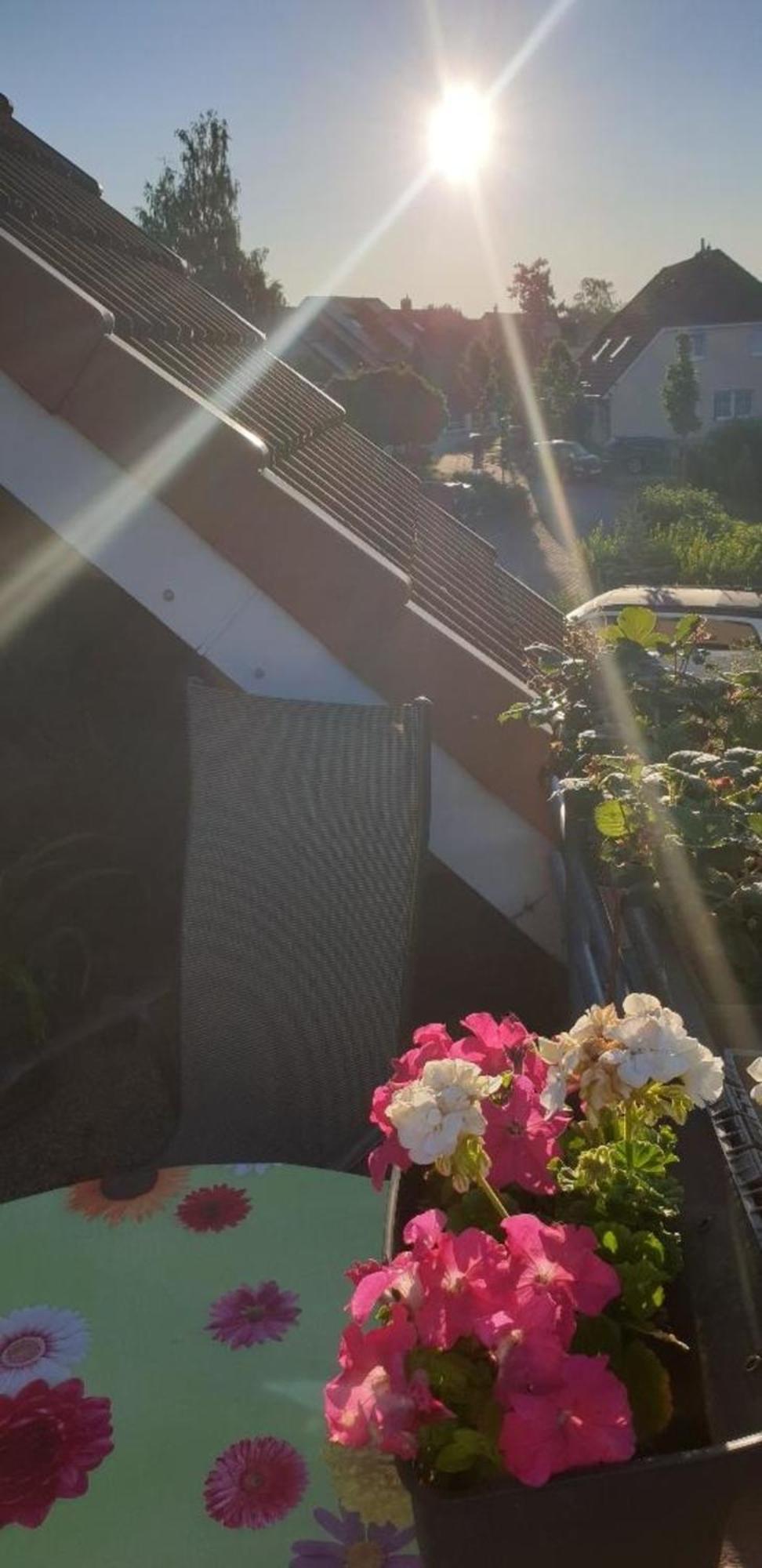Ferienwohnung In Radeberg Bei Dresden מראה חיצוני תמונה
